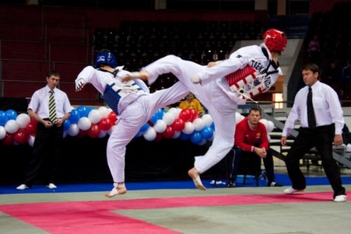 In Kharkov host an international tournament in taekwondo WTF В«Ukraine Open Cup 2015