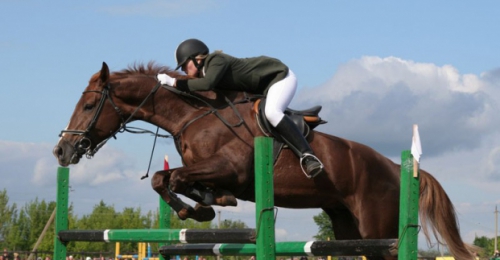 Kharkov became winners of All-Ukrainian competitions on equestrian sport
