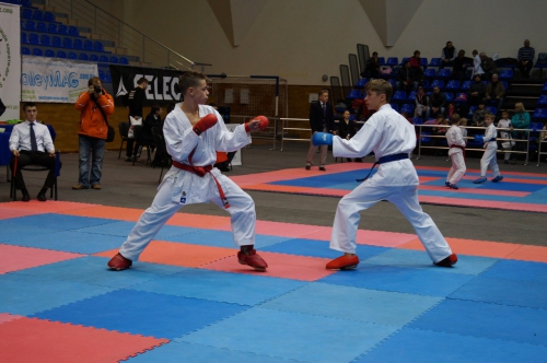 In Kharkov, Kharkov region has passed the championship on karate WKF