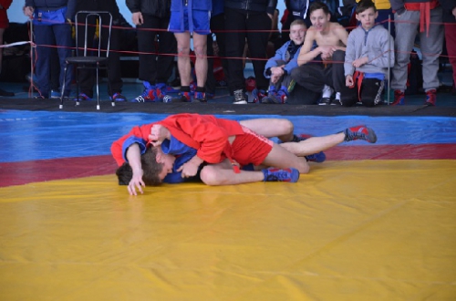На турнірі у Львові юні самбісти вибороли сім медалей
