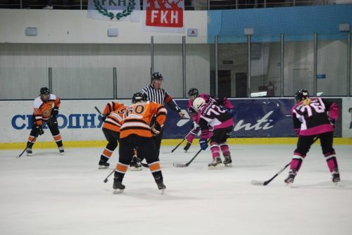 В Харкове стартовал тур Чемпионата Украины по хоккею среди женских команд