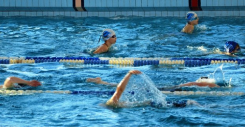 Харківські плавці здобули 26 медалей на чемпіонаті України