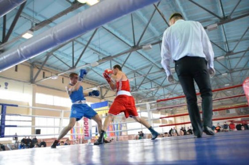 Харківські боксери – переможці всеукраїнської універсіади