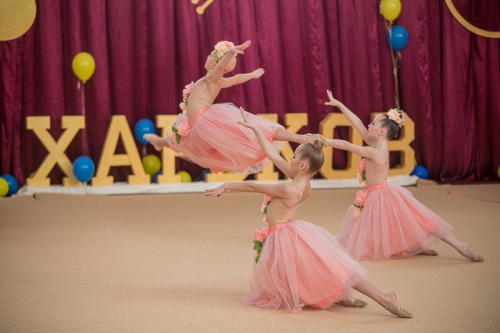 В Харькове состоялся фестиваль по художественной гимнастике