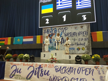 На кубке Мира по джиу-джитсу харьковские спортсмены завоевали медали