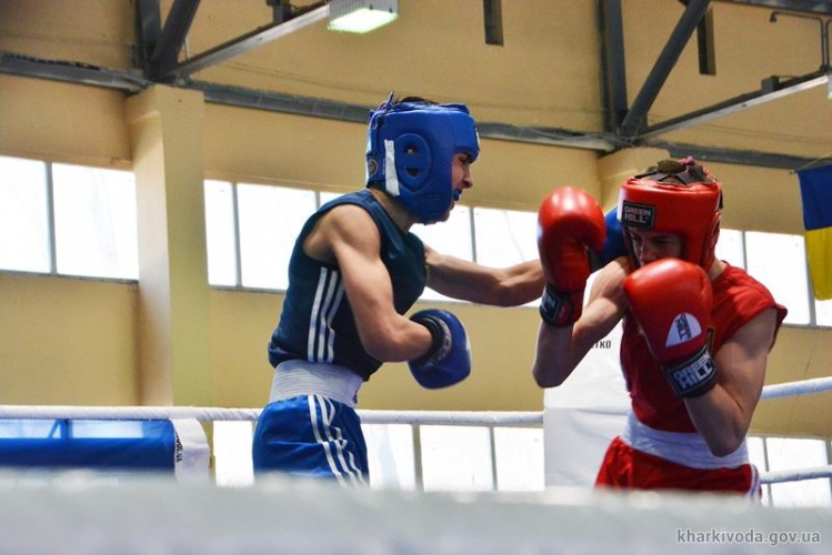 Харків'яни пробилися в півфінал чемпіонату Європи з боксу