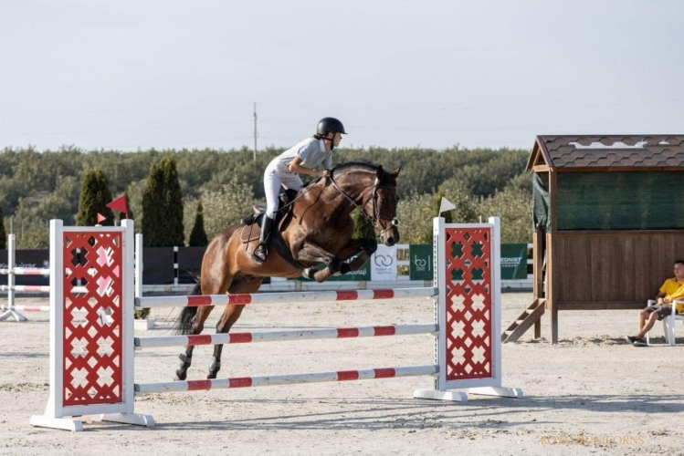 ������� ������-������� ����-��������� ����� ��������� ������ �������� ��������� �� ����� Parade alure