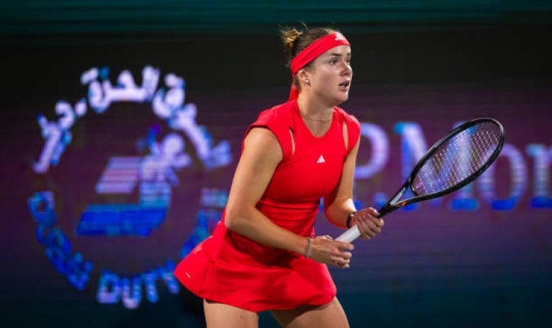 ���� ������� ���������� ���������� ���������