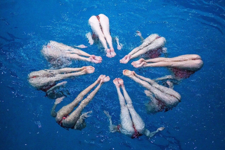 ����� ������ � ����������� �������� � ��������� ���� ������ �� ���-6 ������������ ������ �� ����� ���� � ������, ������