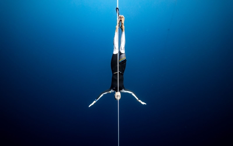 �������� ��������� ���������� ����� ������� ������